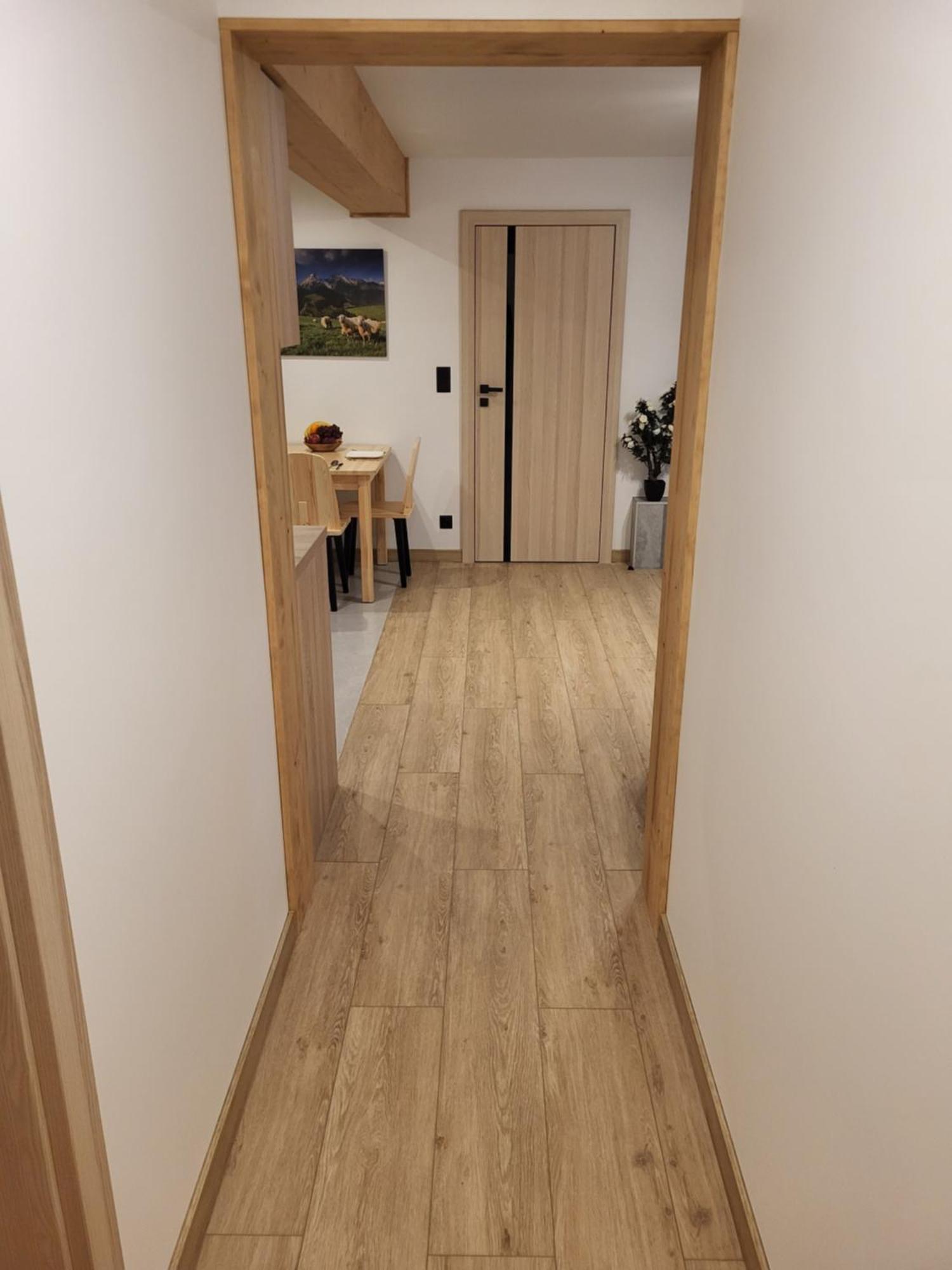 Apartament Chycow Potok Закопане Экстерьер фото